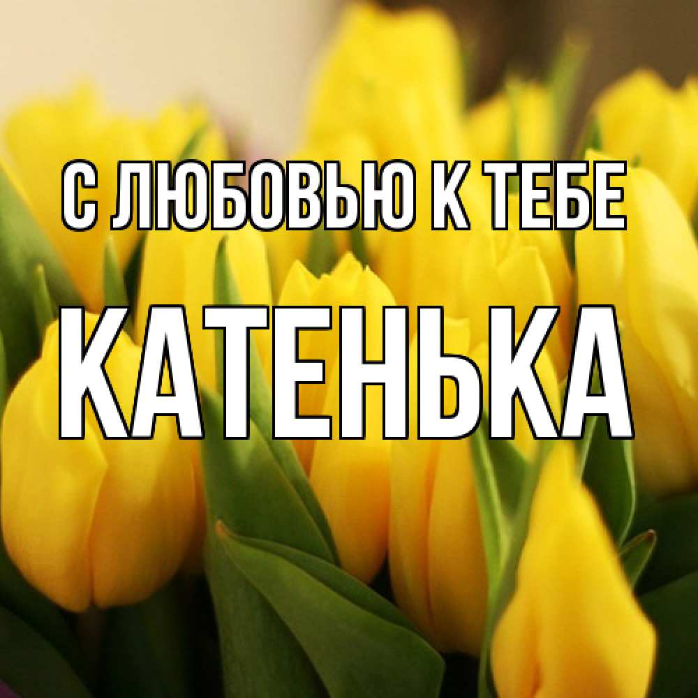 Открытка  с именем. Катенька, С любовью к тебе  