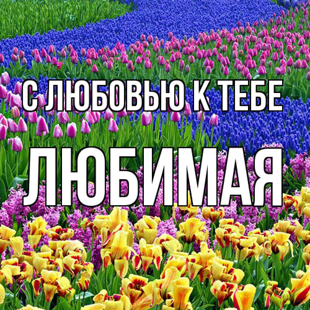 Открытка  с именем. Любимая, С любовью к тебе  