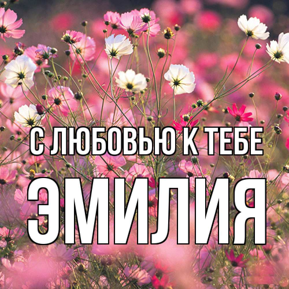 Открытка  с именем. Эмилия, С любовью к тебе  
