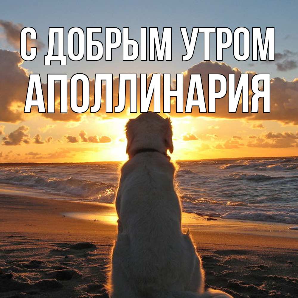 Открытка  с именем. Аполлинария, С добрым утром  