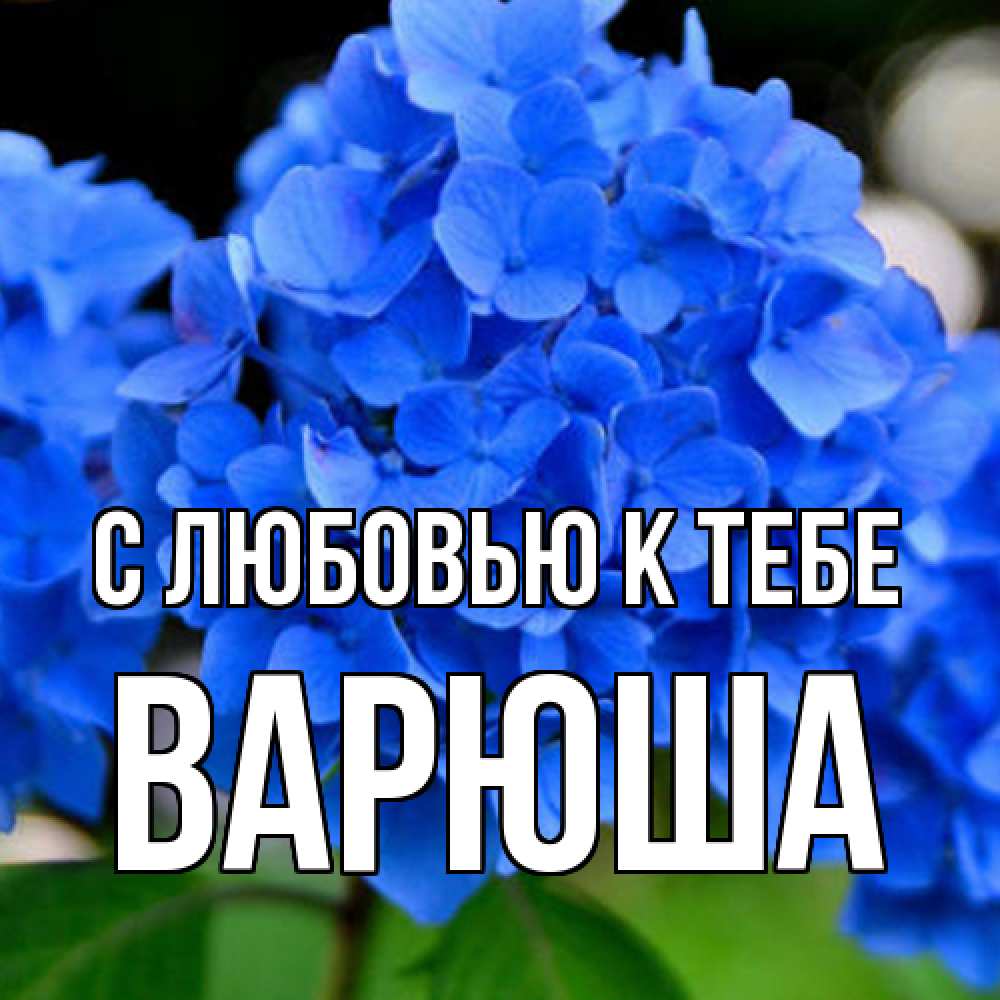 Открытка  с именем. Варюша, С любовью к тебе  