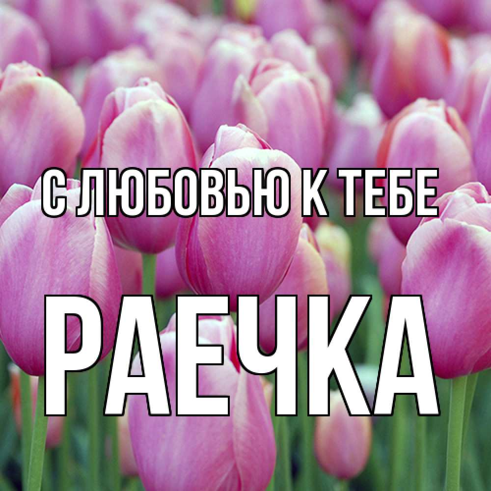 Открытка  с именем. Раечка, С любовью к тебе  