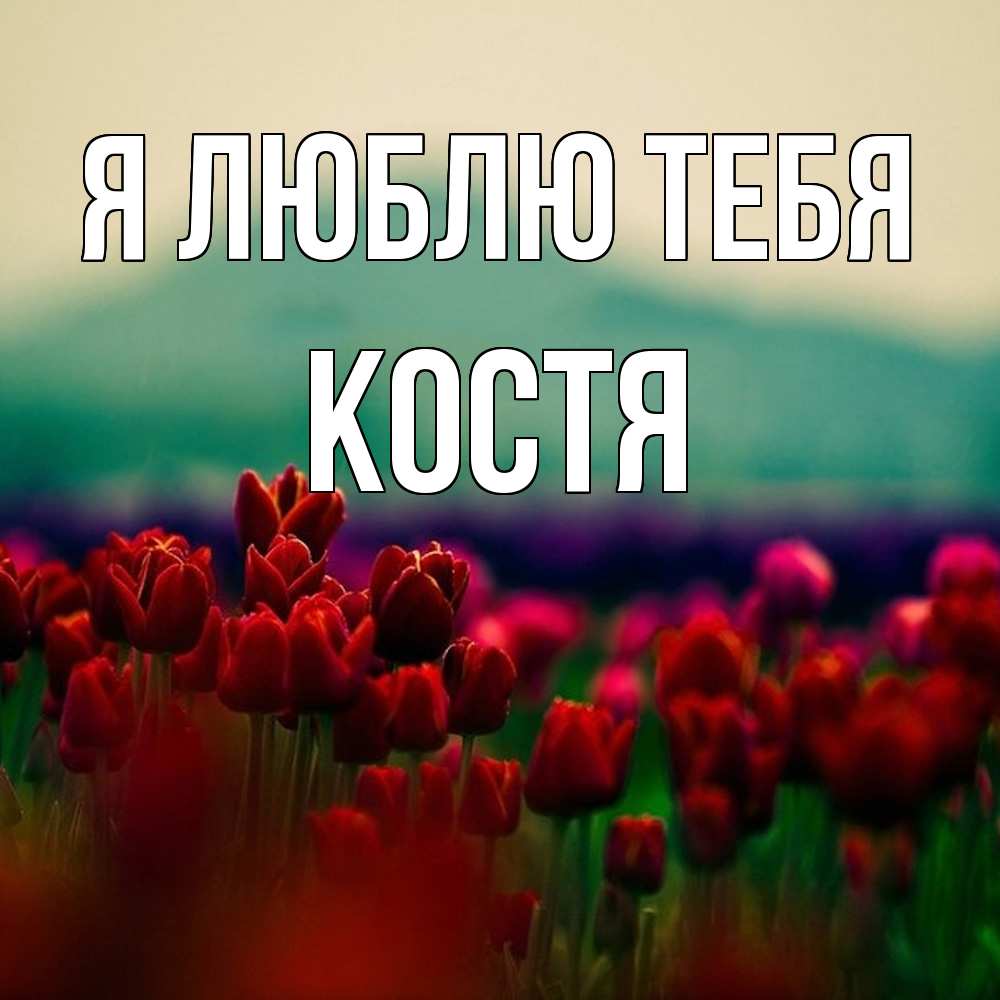 Открытка  с именем. костя, Я люблю тебя  