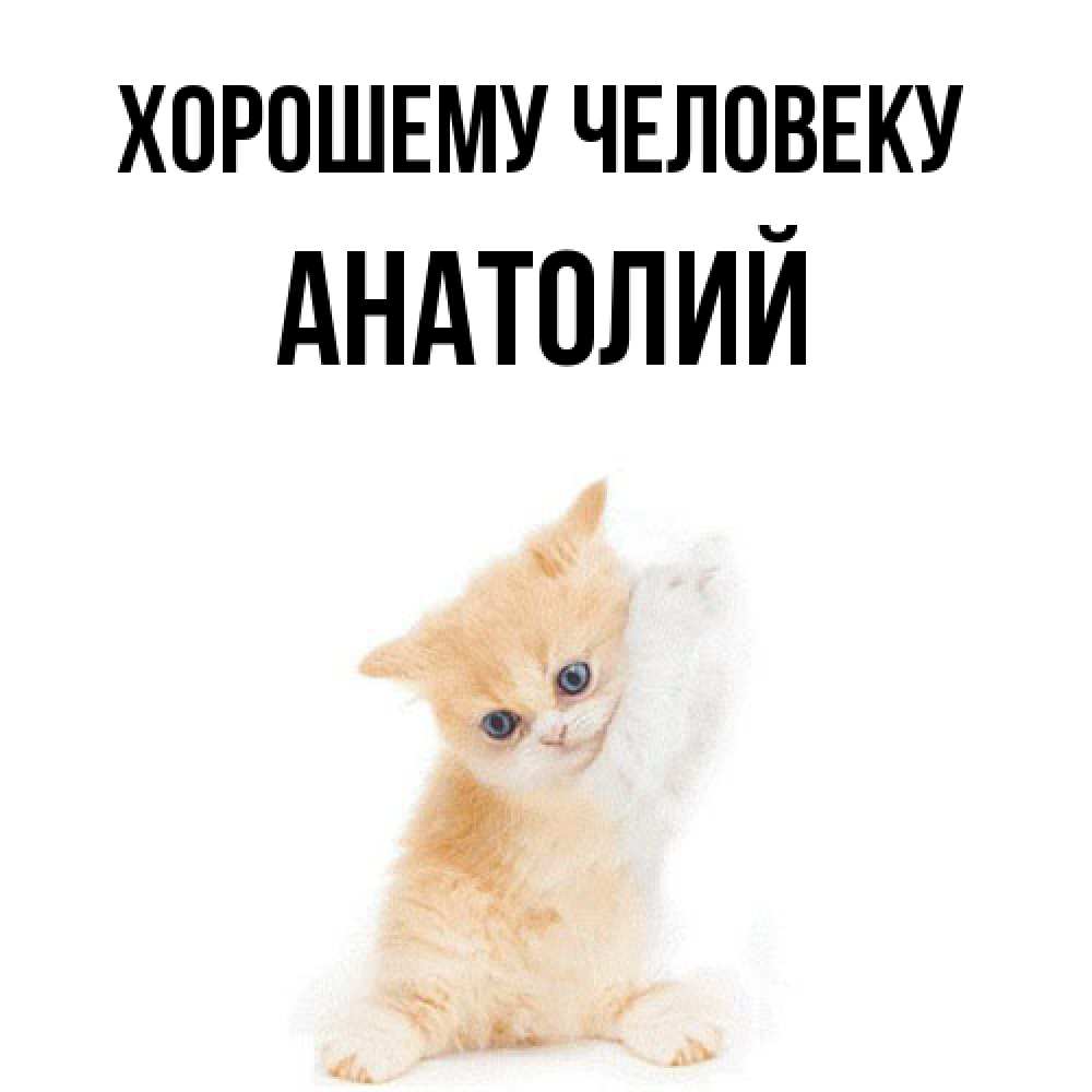 Открытка  с именем. Анатолий, Хорошему человеку  