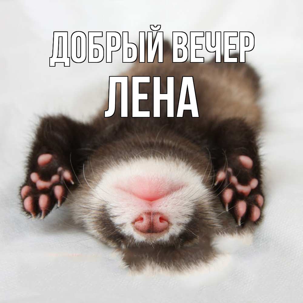 Открытка  с именем. Лена, Добрый вечер  