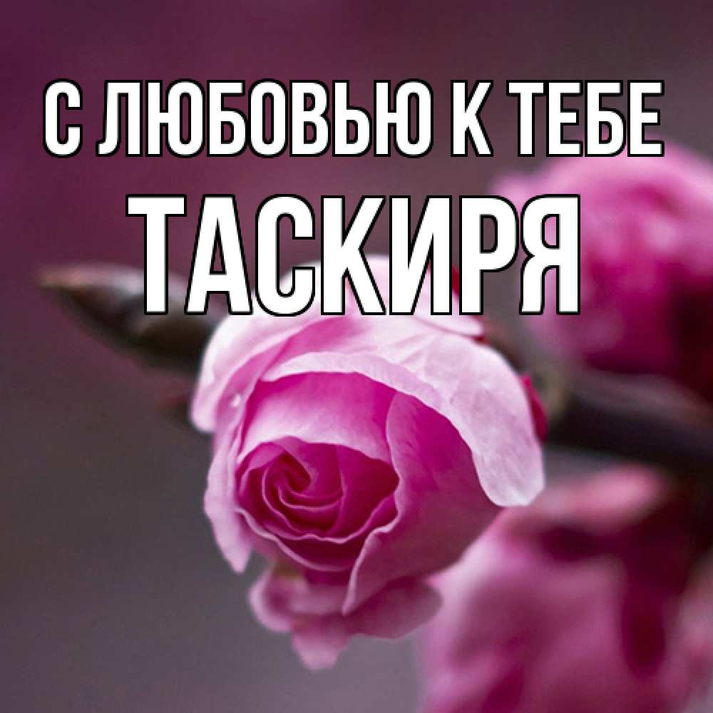 Открытка  с именем. Таскиря, С любовью к тебе  