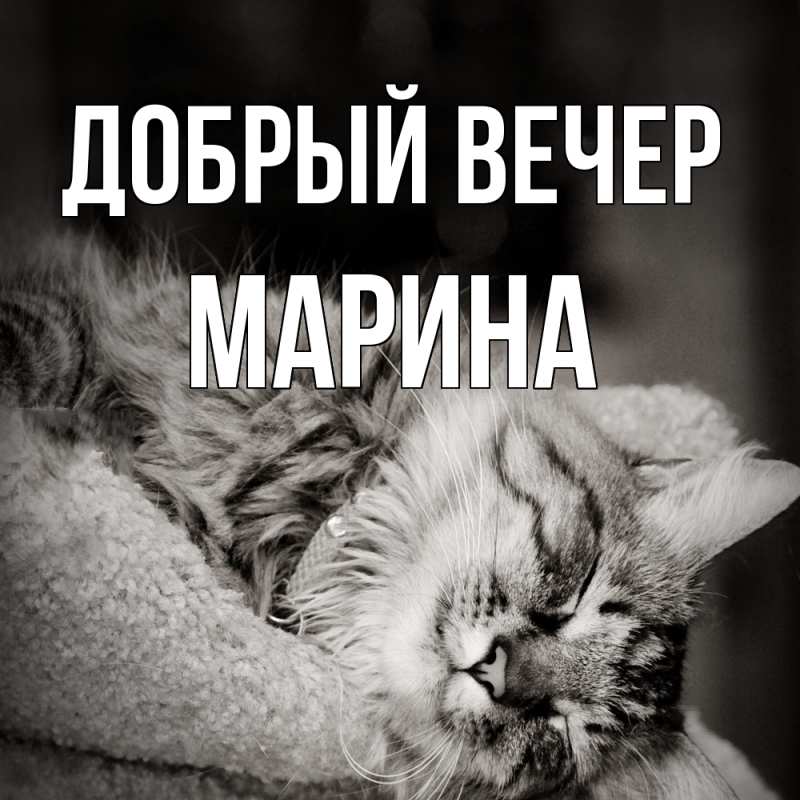 Картинка Добрый вечер, Марина