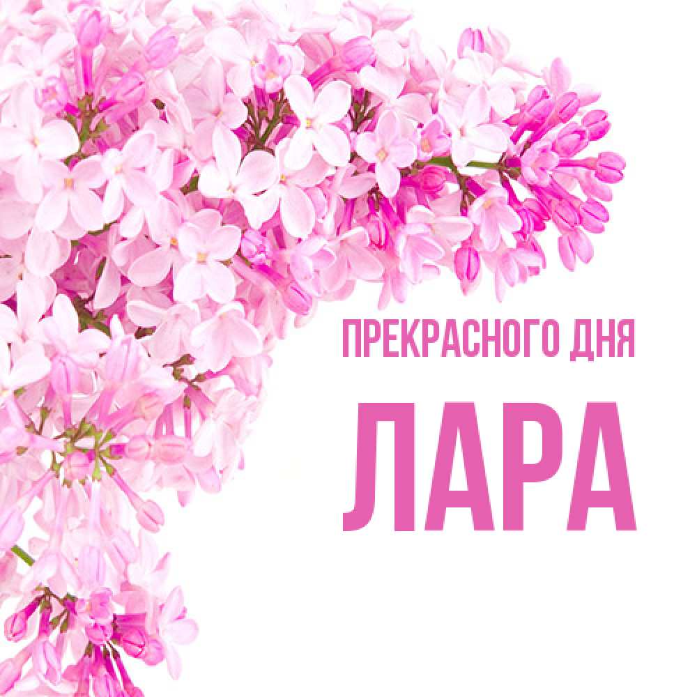 Открытка  с именем. Лара, Прекрасного дня  