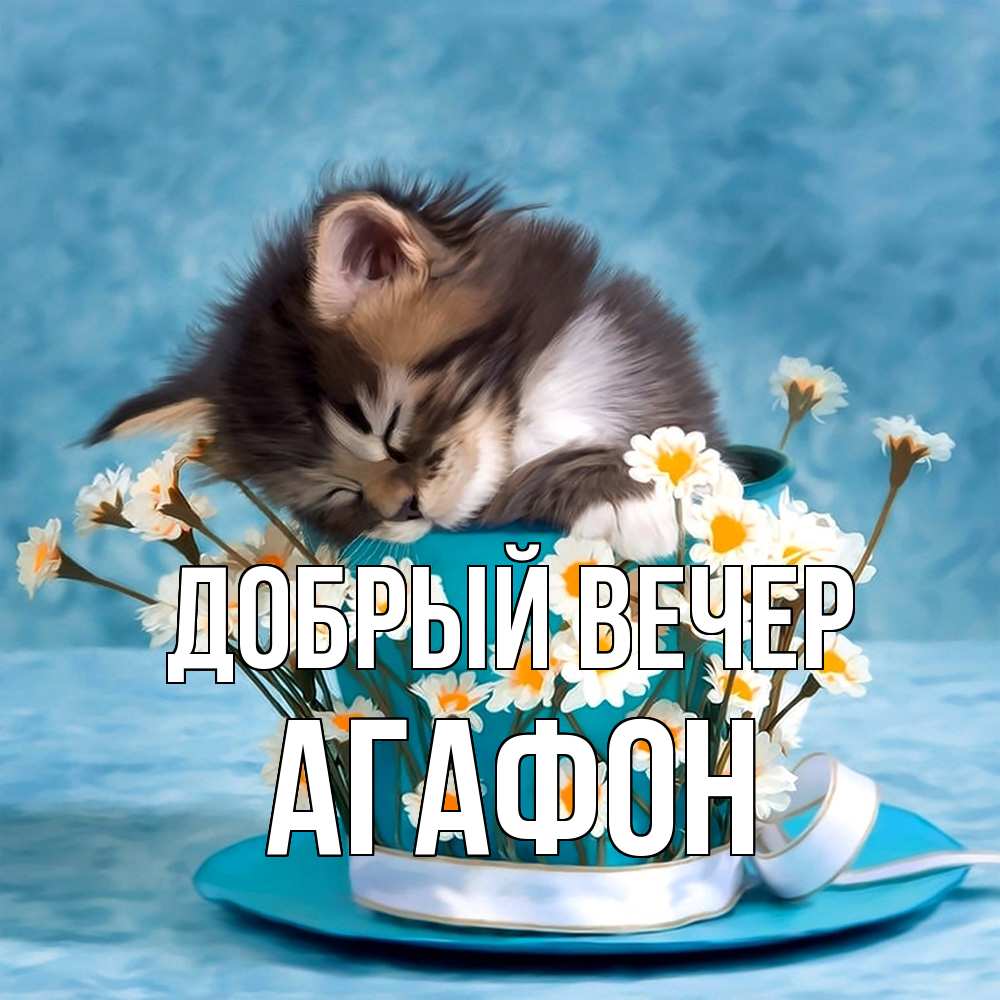 Открытка  с именем. Агафон, Добрый вечер  
