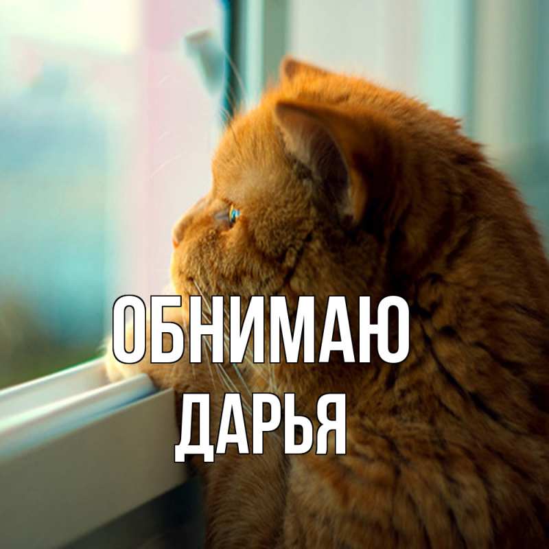 Картинка Обнимаю, Дарья