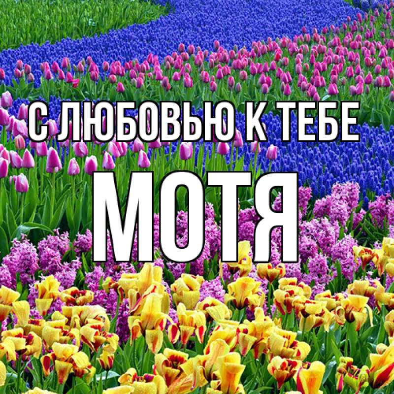 Картинка С любовью к тебе, Мотя