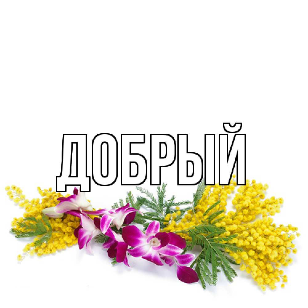 Открытка  с именем. Добрый, Главная  