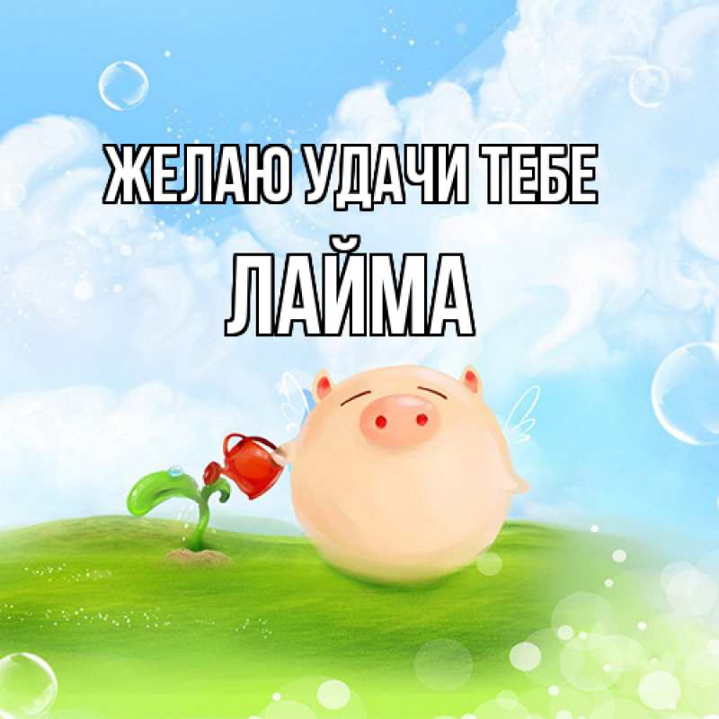Картинка Желаю удачи тебе, Лайма