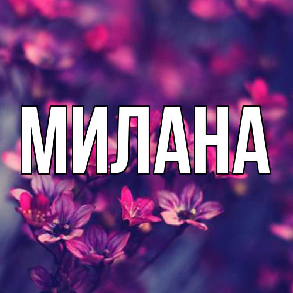 Открытка  с именем. Милана, Главная  