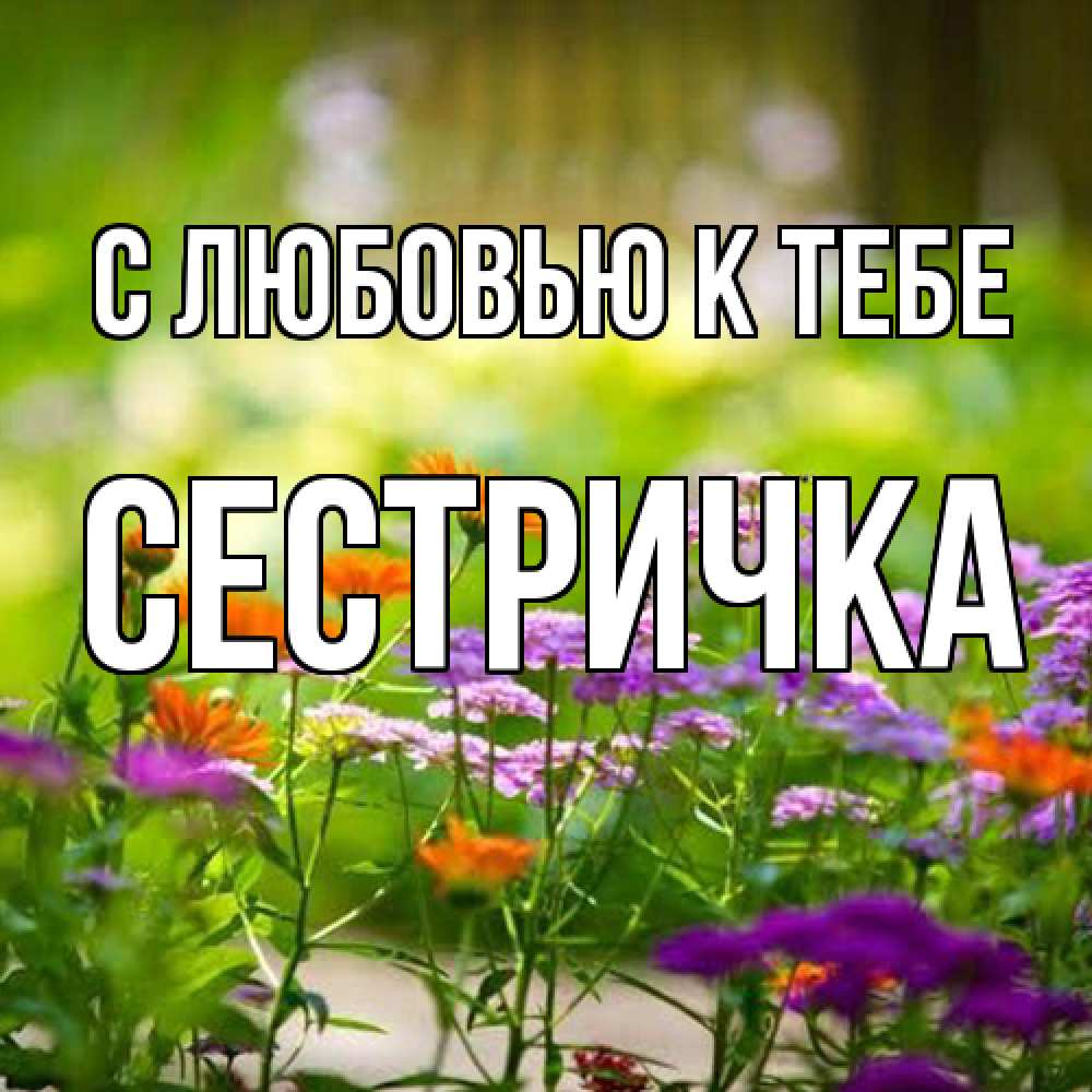 Открытка  с именем. Сестричка, С любовью к тебе  