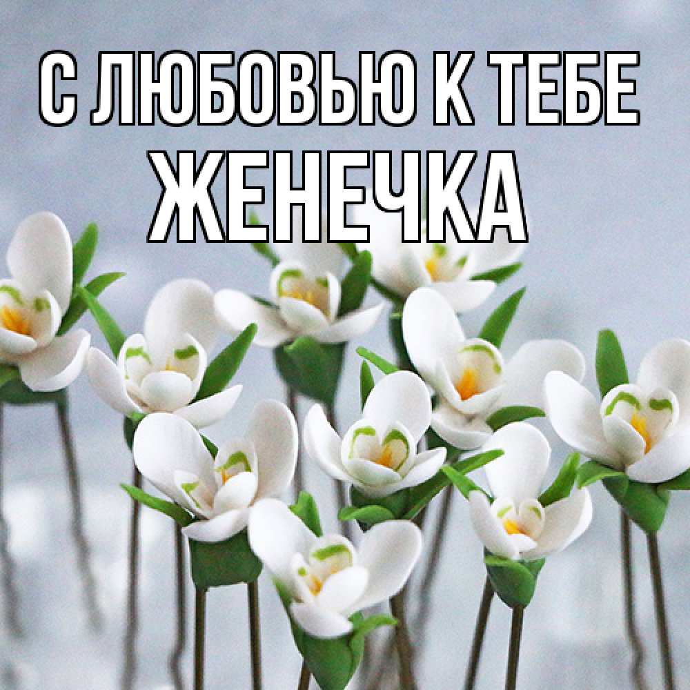 Открытка  с именем. Женечка, С любовью к тебе  
