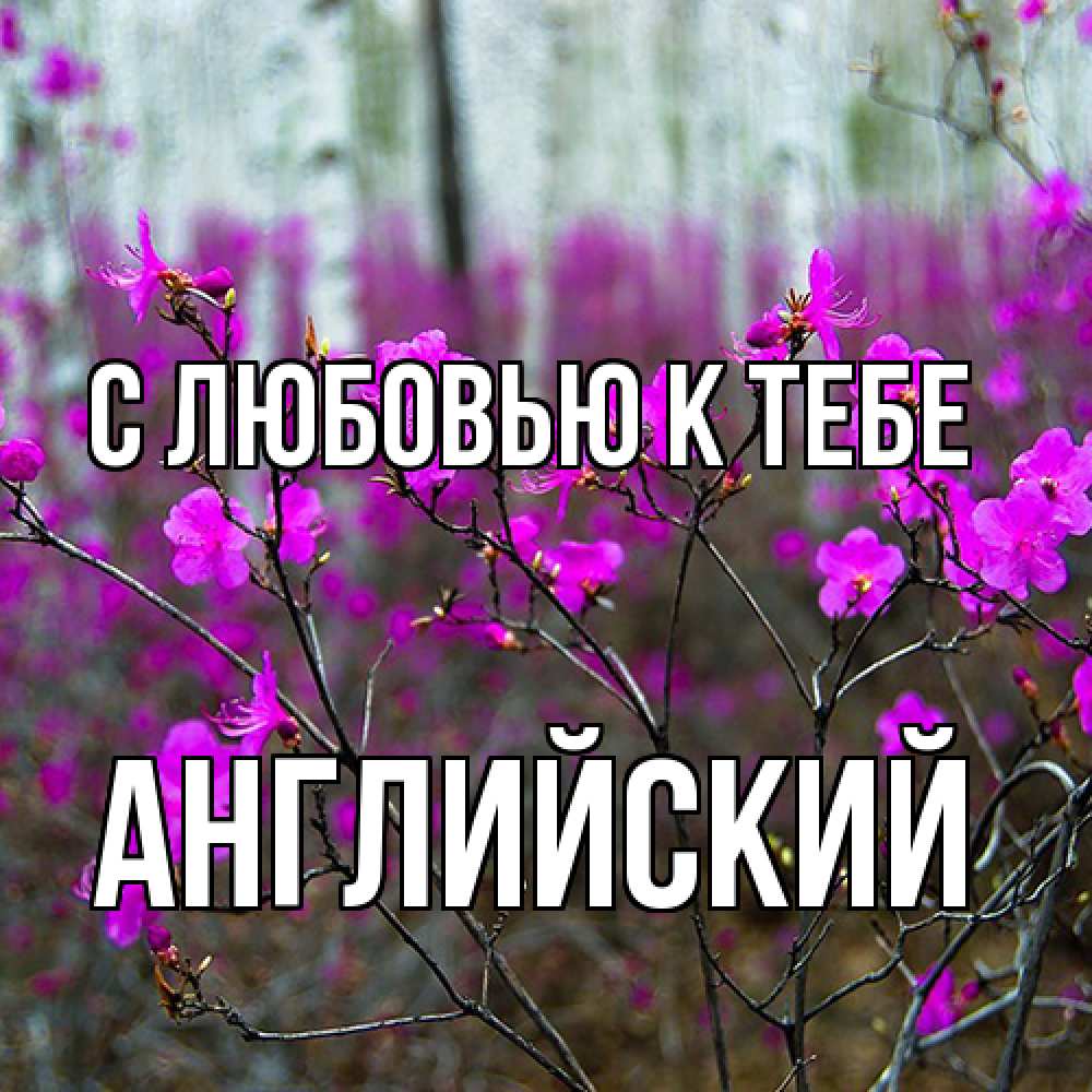Открытка  с именем. Английский, С любовью к тебе  