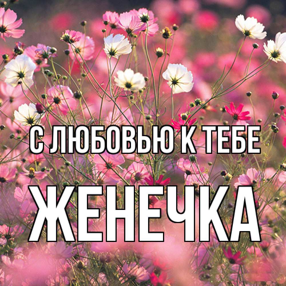 Открытка  с именем. Женечка, С любовью к тебе  