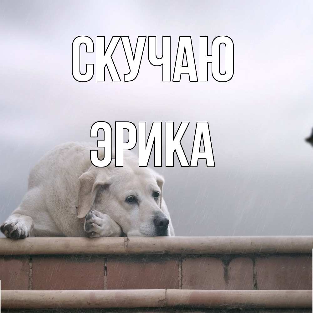 Открытка  с именем. ЭРИКА, Скучаю  