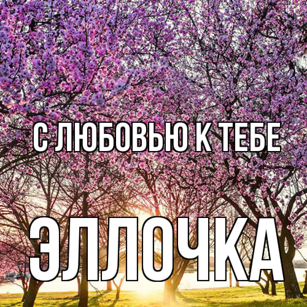 Открытка  с именем. Эллочка, С любовью к тебе  