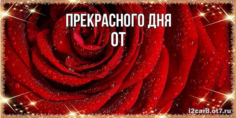 Картинка Прекрасного дня, От
