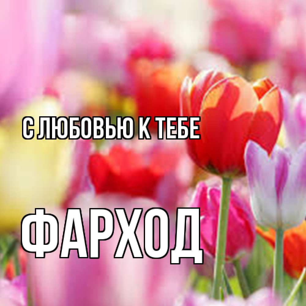 Открытка  с именем. Фарход, С любовью к тебе  