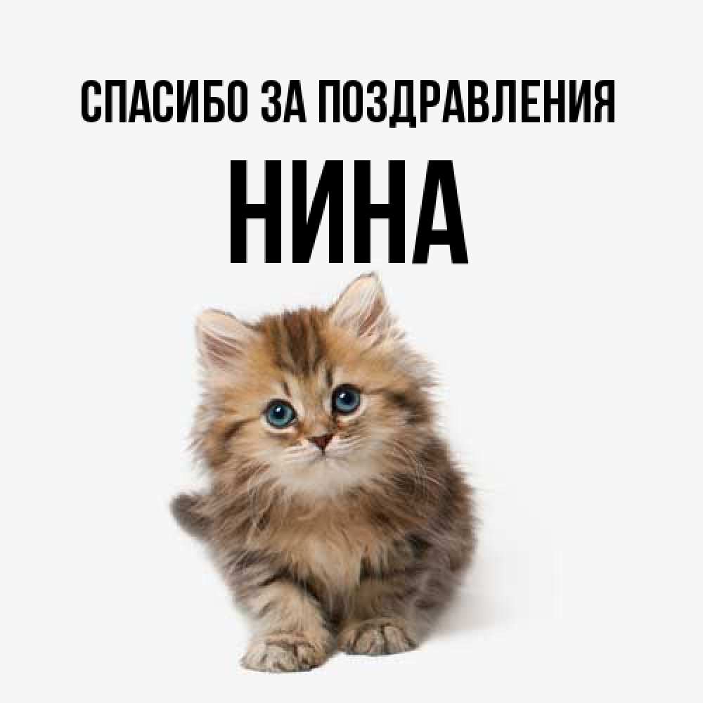 Открытка  с именем. нина, Спасибо за поздравления  