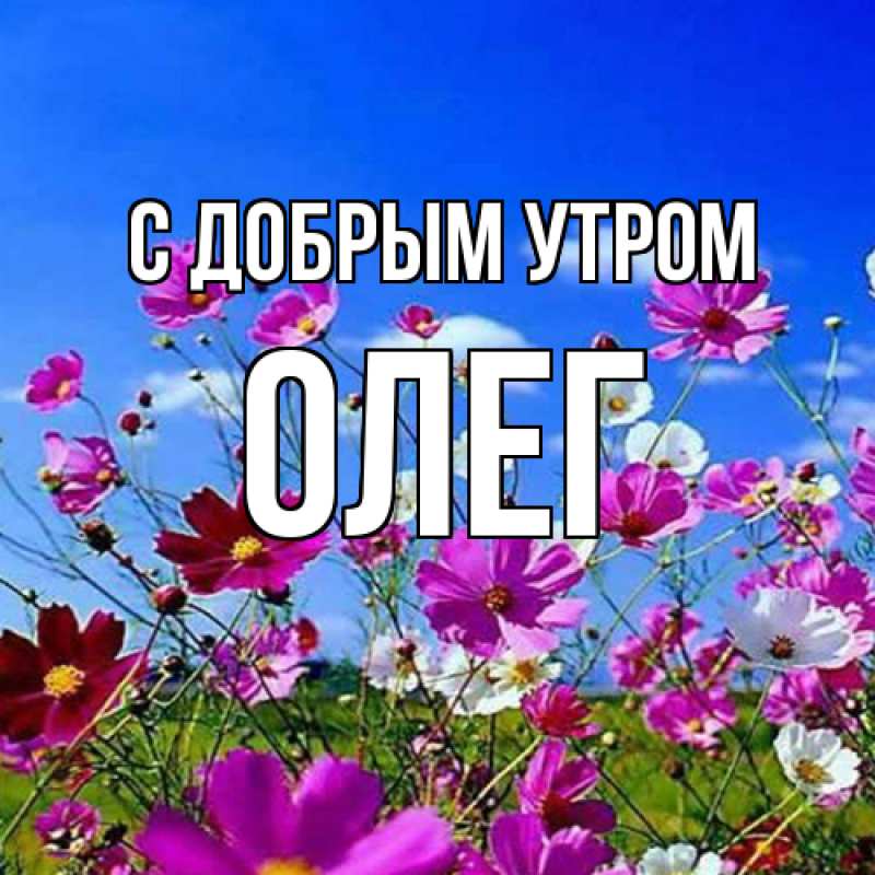 Картинка С добрым утром, олег