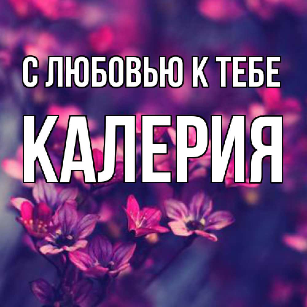 Открытка  с именем. Калерия, С любовью к тебе  