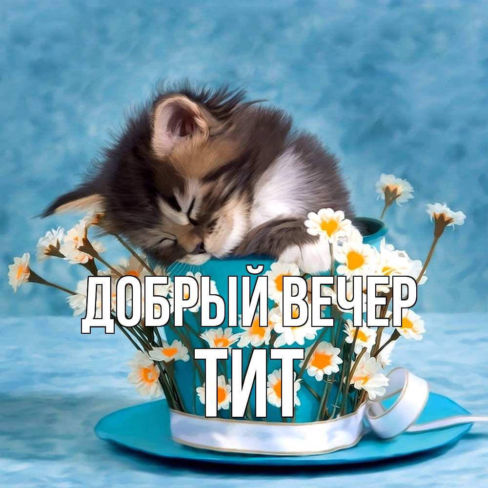 Открытка  с именем. Тит, Добрый вечер  
