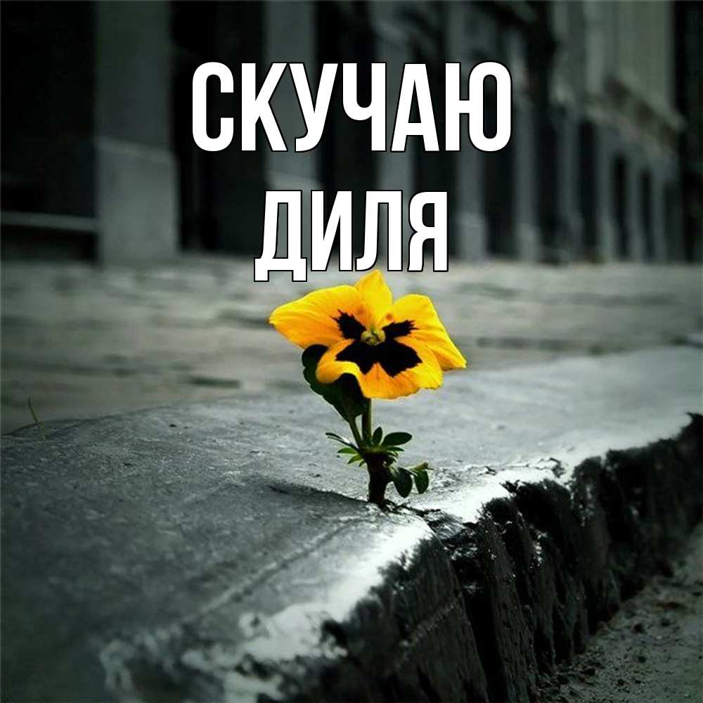 Открытка  с именем. Диля, Скучаю  