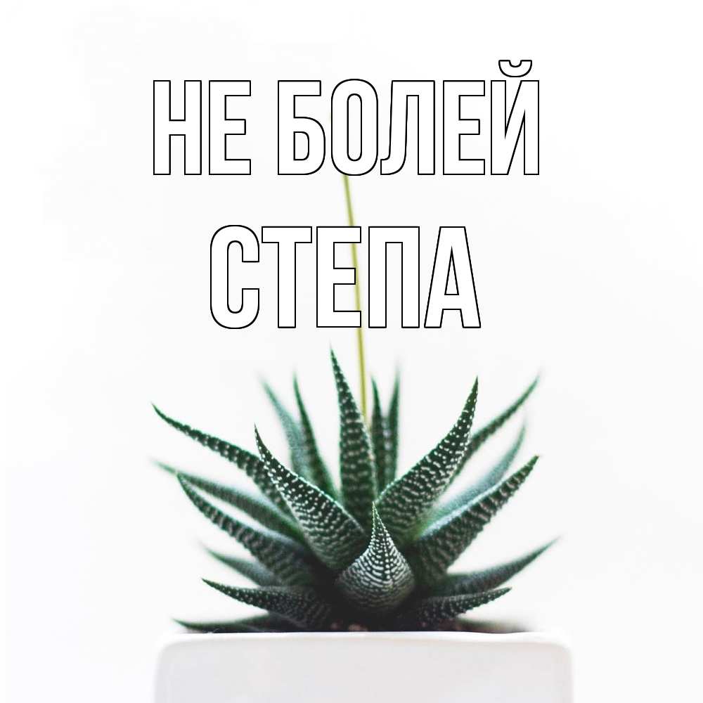 Открытка  с именем. степа, Не болей  