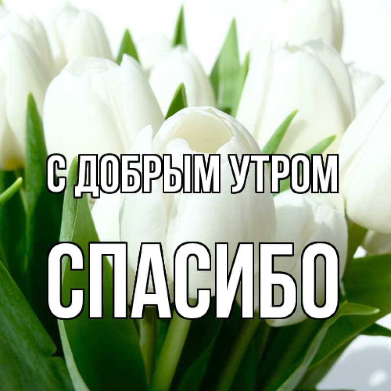 Картинка С добрым утром, СПАСИБО