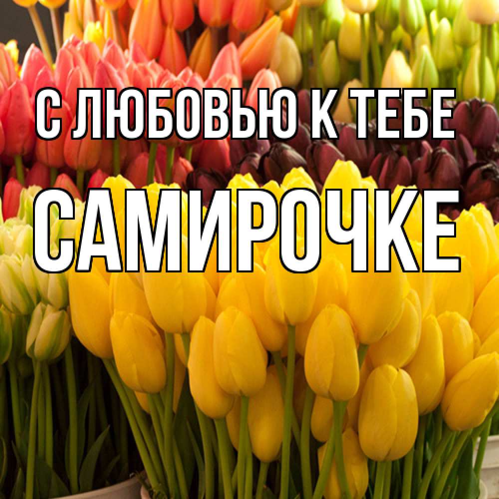 Открытка  с именем. самирочке, С любовью к тебе  