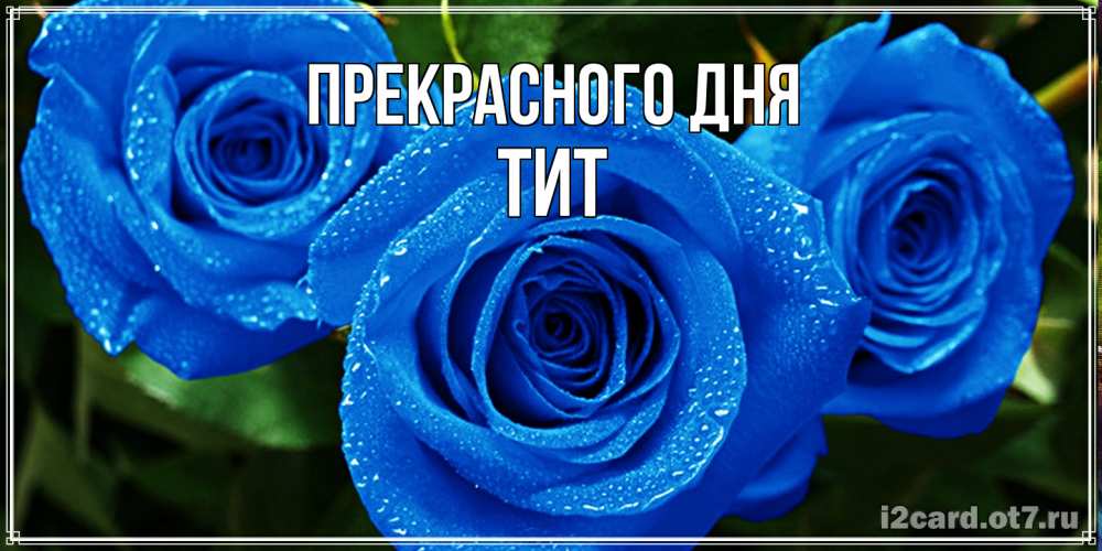 Открытка  с именем. Тит, Прекрасного дня  