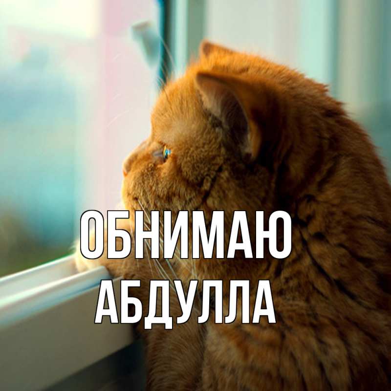 Картинка Обнимаю, Абдулла