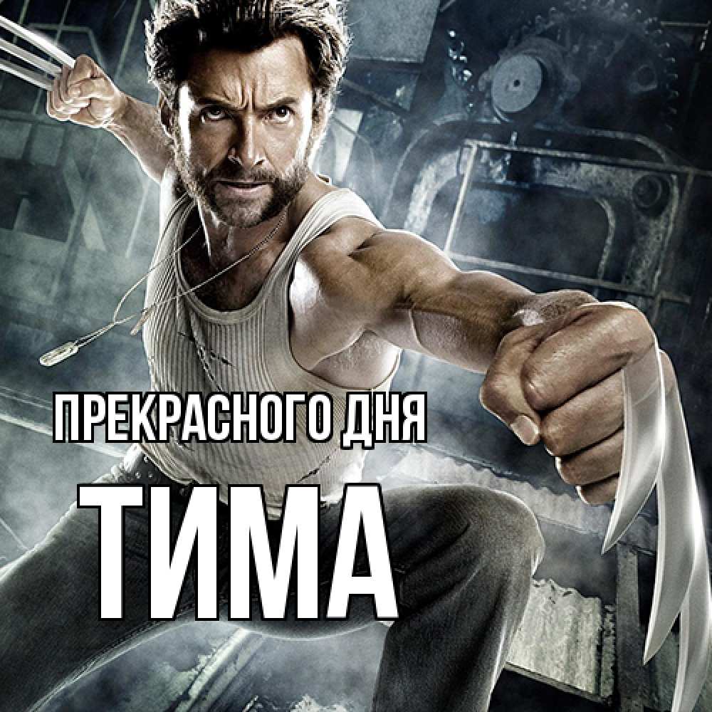 Открытка  с именем. Тима, Прекрасного дня  