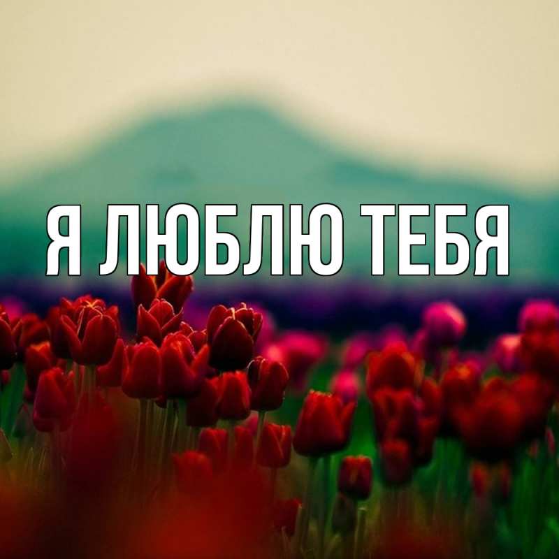 Картинка Я люблю тебя, 