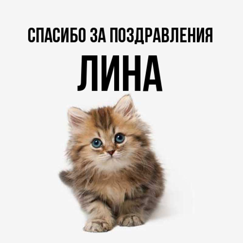 Картинка Спасибо за поздравления, Лина
