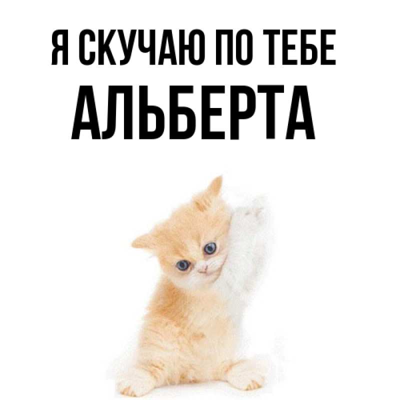Картинка Я скучаю по тебе, Альберта