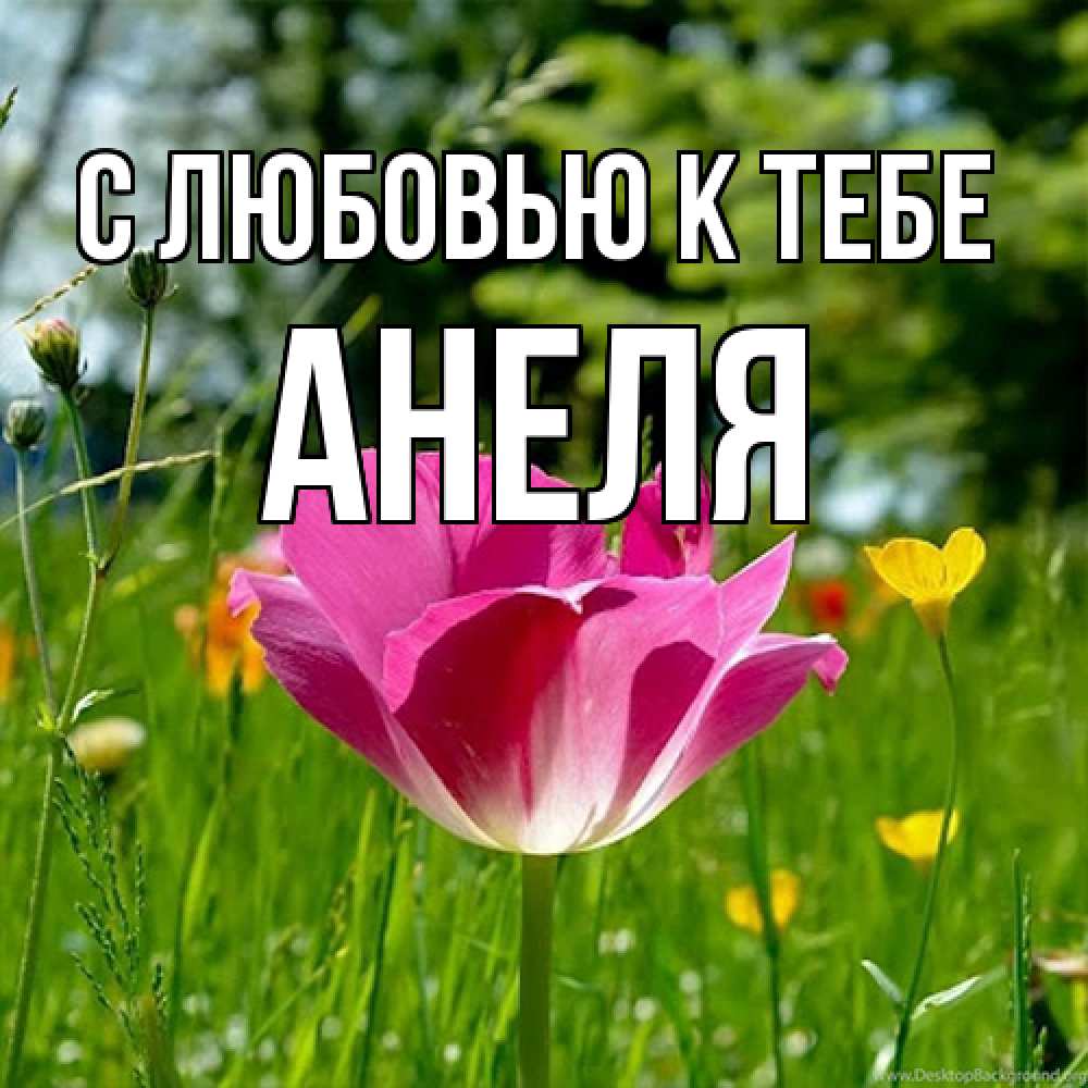 Открытка  с именем. Анеля, С любовью к тебе  