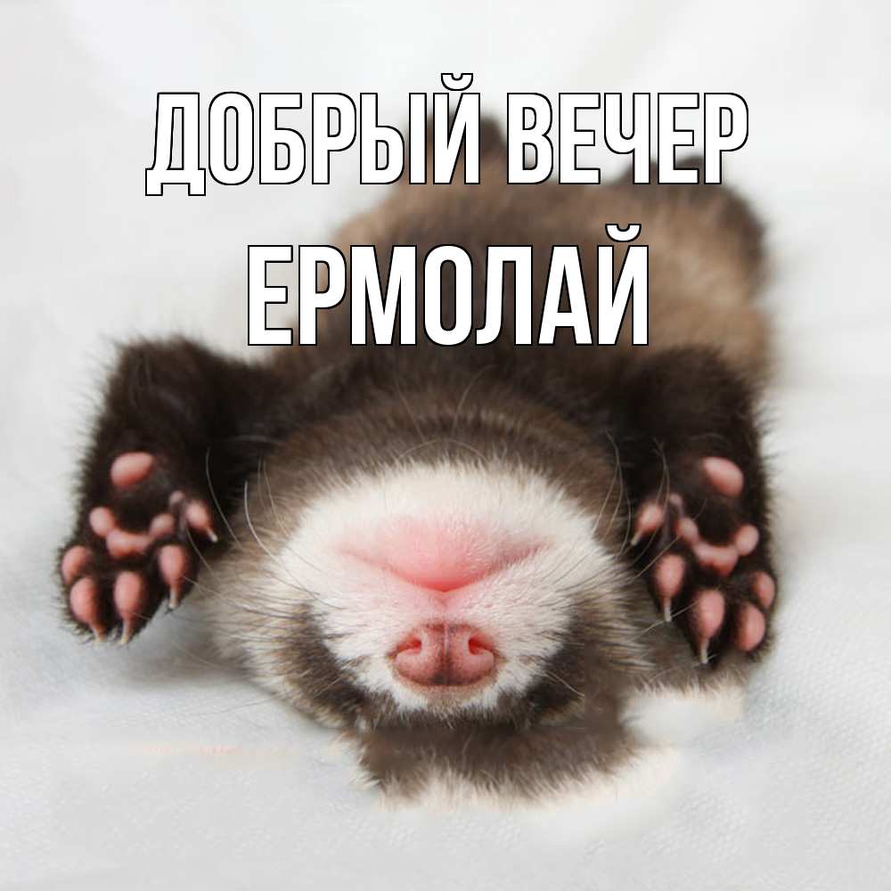 Открытка  с именем. Ермолай, Добрый вечер  