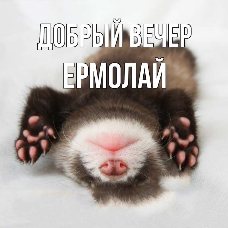Картинка Добрый вечер, Ермолай