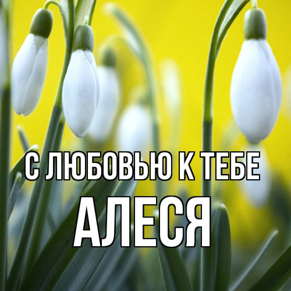 Открытка  с именем. Алеся, С любовью к тебе  