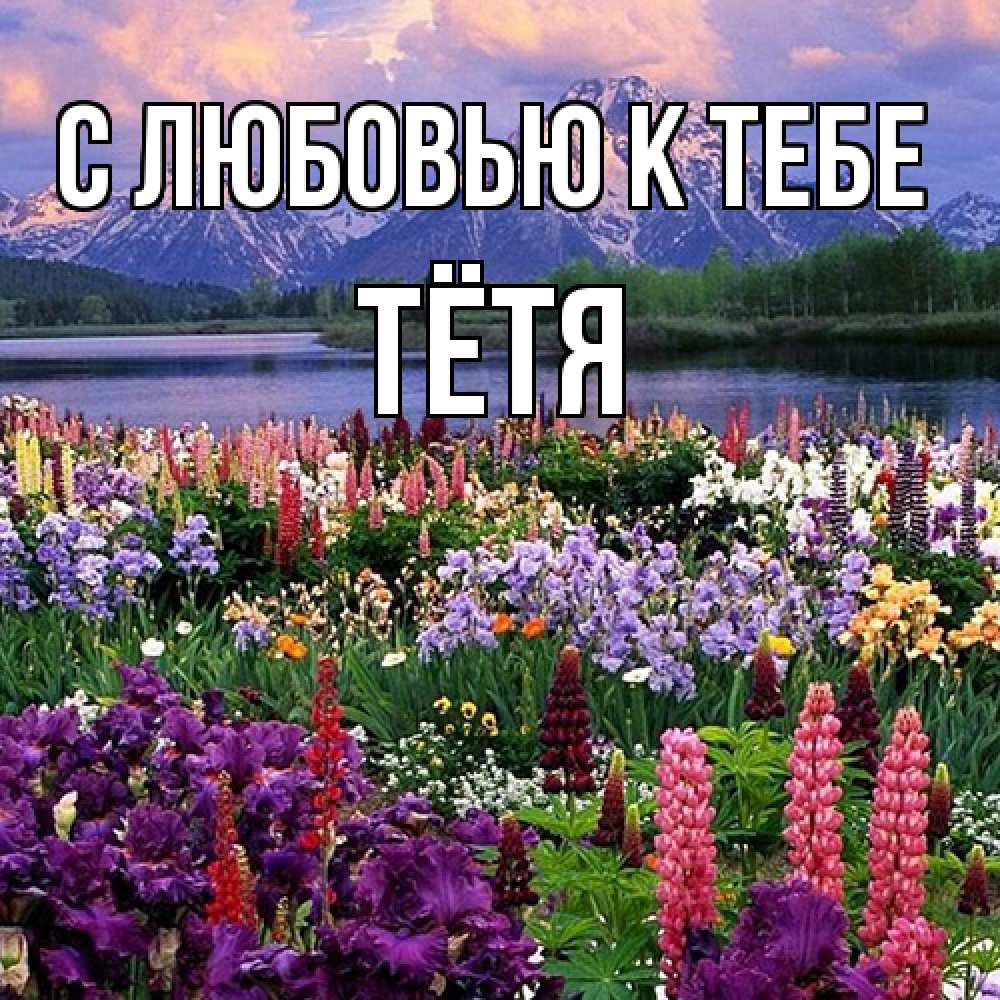 Открытка  с именем. Тётя, С любовью к тебе  