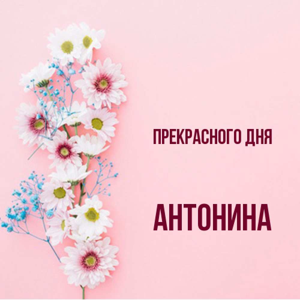Открытка  с именем. Антонина, Прекрасного дня  