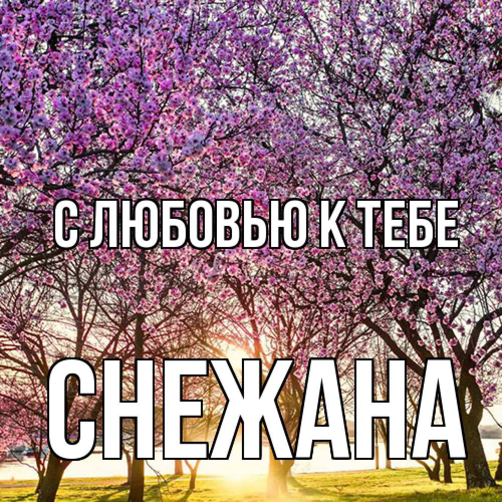 Открытка  с именем. Снежана, С любовью к тебе  