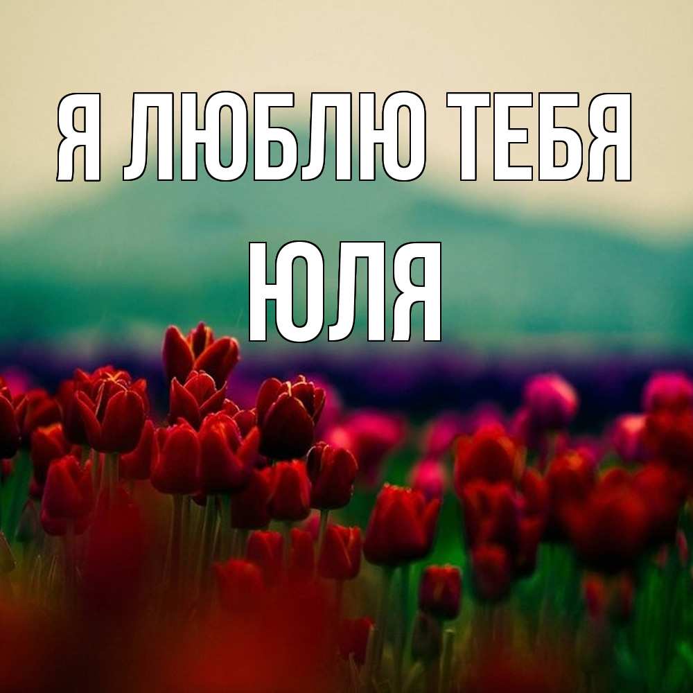 Открытка  с именем. Юля, Я люблю тебя  
