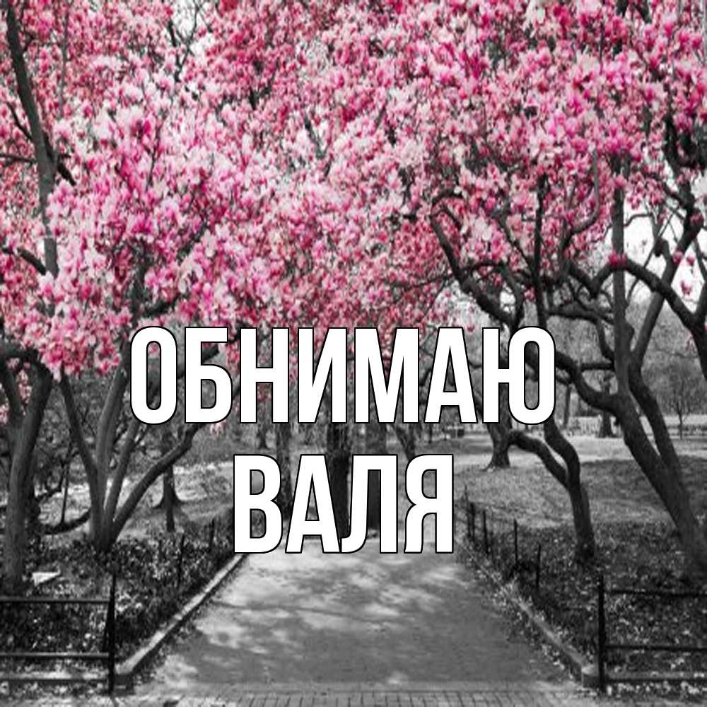 Открытка  с именем. Валя, Обнимаю  