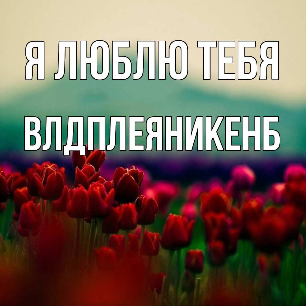 Открытка  с именем. Влдплеяникенб, Я люблю тебя  